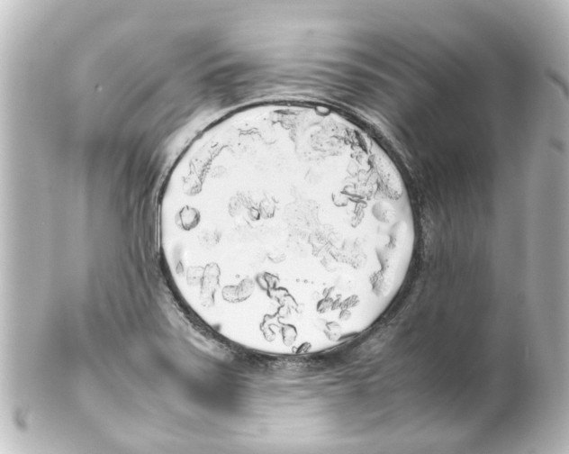 X0000100231371200806271740