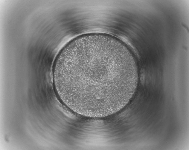 X0000100231372200806271740