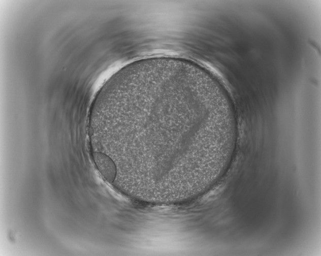 X0000100231373200806271740