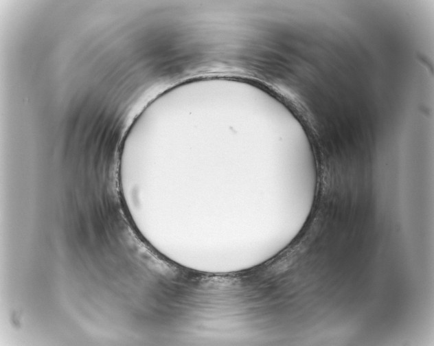 X0000100231374200806271740