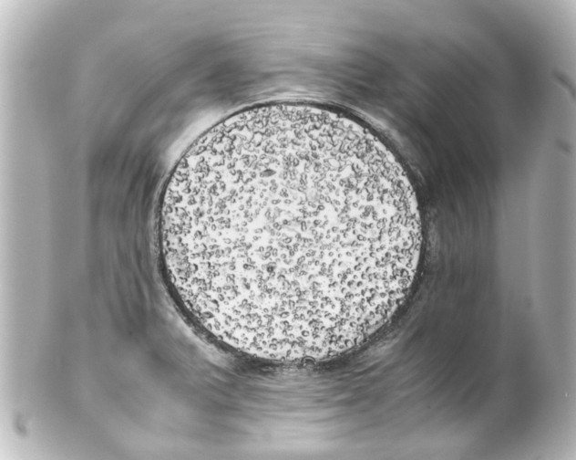X0000100231375200806271740