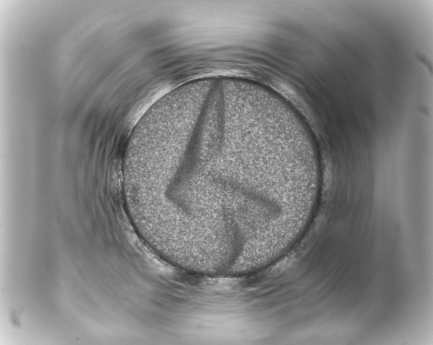 X0000100231377200806271740