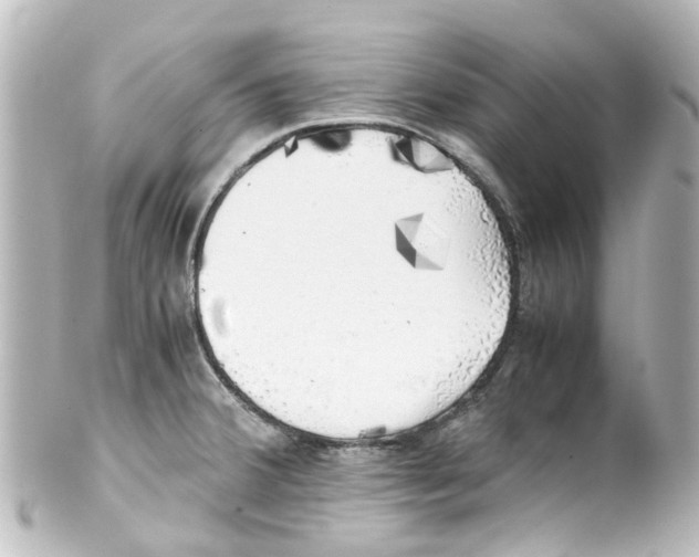X0000100231380200806271740