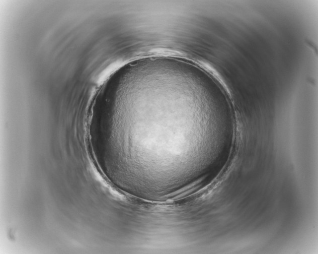 X0000100231381200806271740