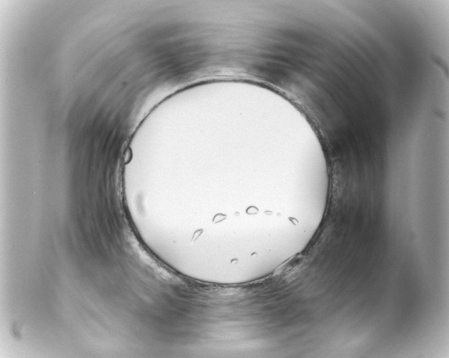 X0000100231382200806271740