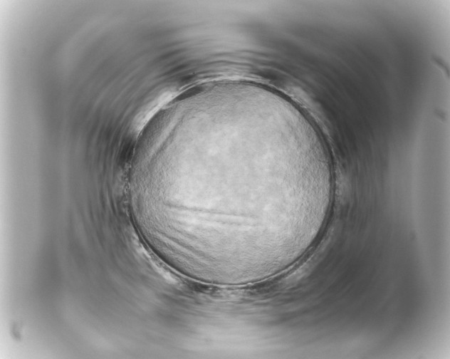 X0000100231385200806271740