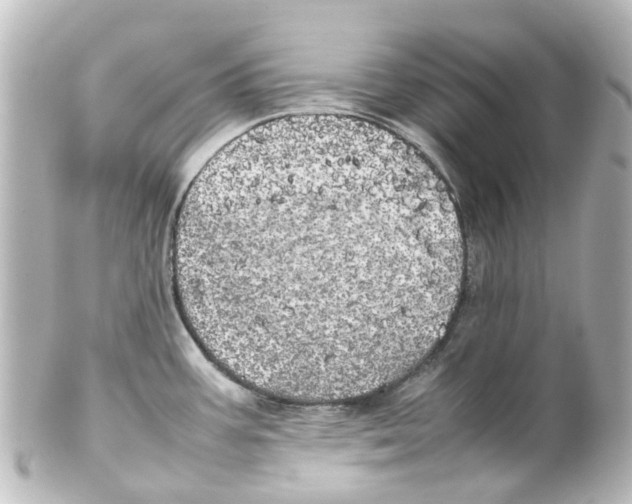 X0000100231387200806271740