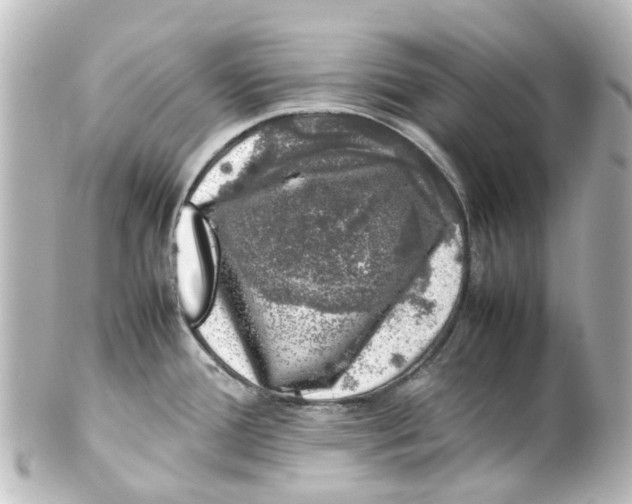 X0000100231388200806271740