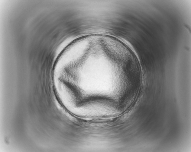 X0000100231389200806271740