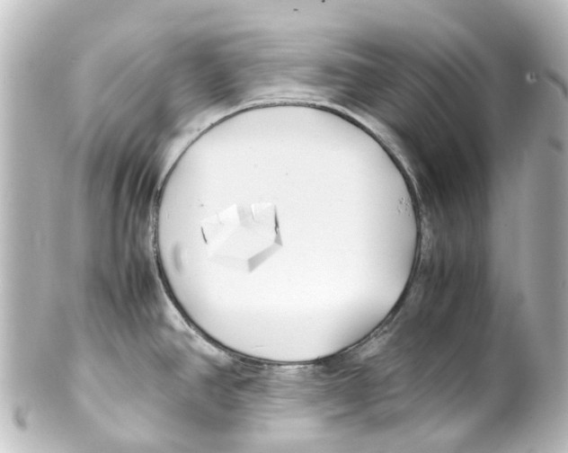 X0000100231390200806271740