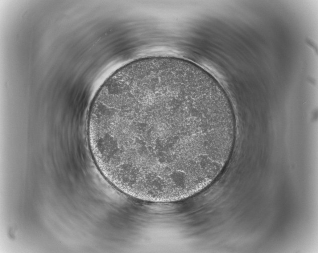 X0000100231392200806271740