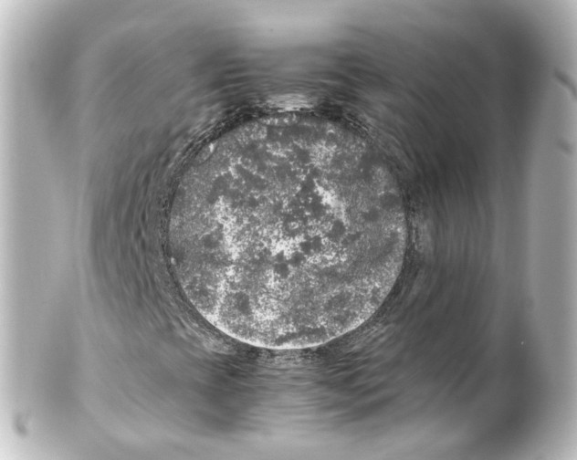 X0000100231393200806271739