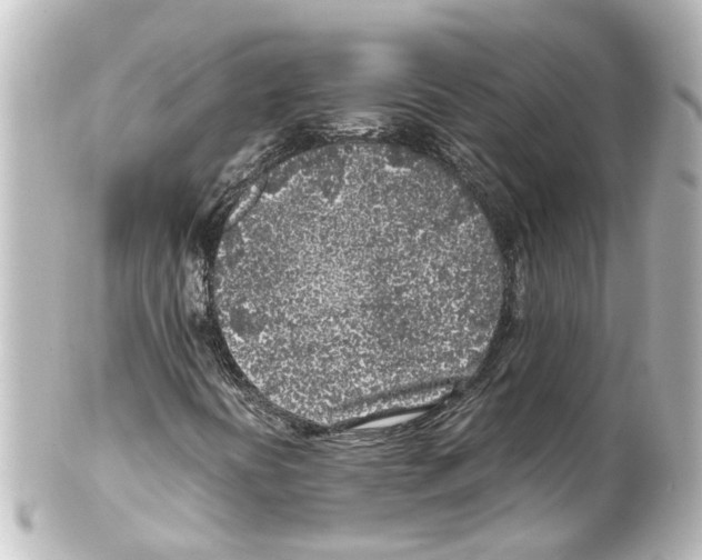 X0000100231394200806271739