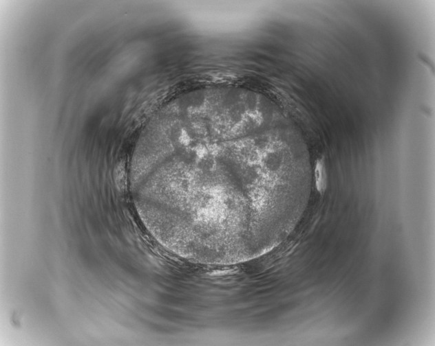 X0000100231395200806271739