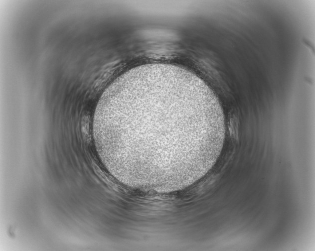 X0000100231396200806271739