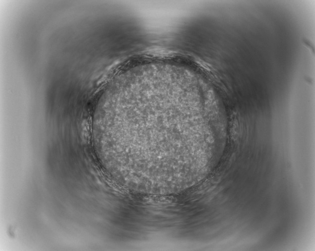 X0000100231397200806271739