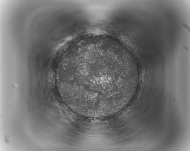 X0000100231398200806271739