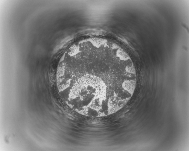 X0000100231399200806271739