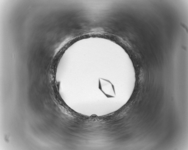 X0000100231400200806271739