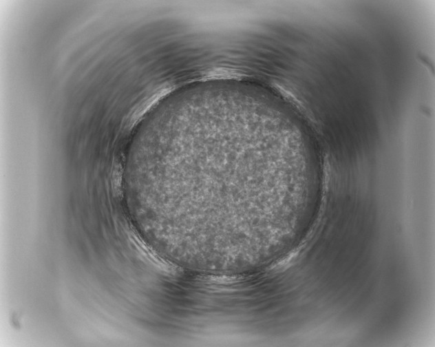 X0000100231401200806271739