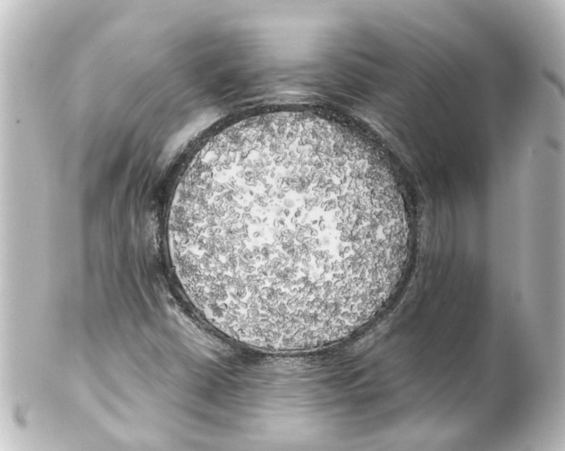 X0000100231402200806271739
