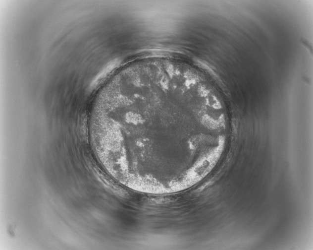X0000100231403200806271739