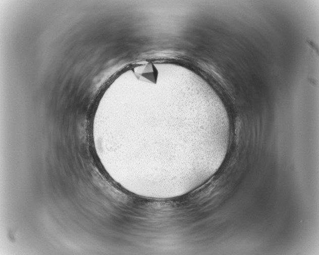 X0000100231404200806271739