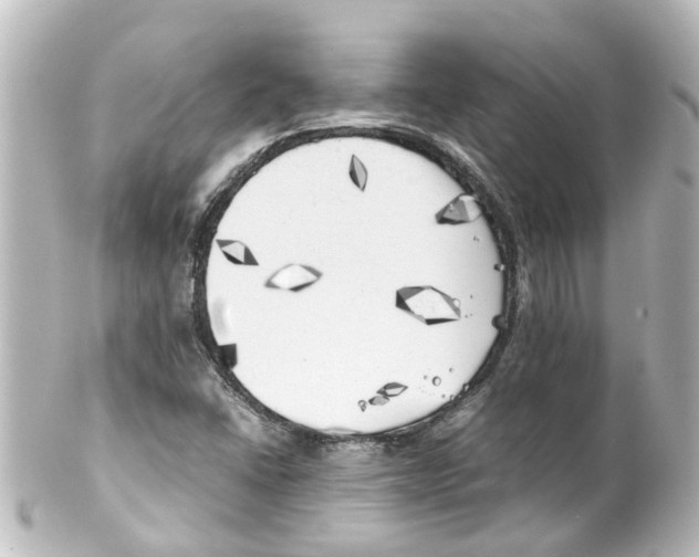 X0000100231406200806271739