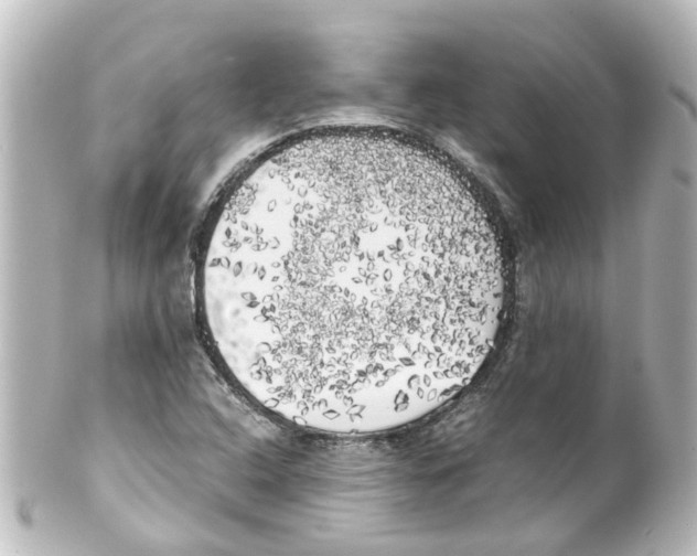 X0000100231408200806271739