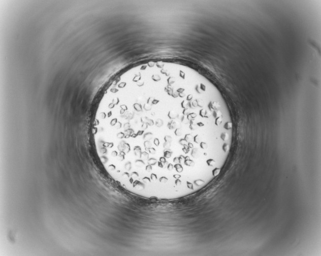X0000100231410200806271739