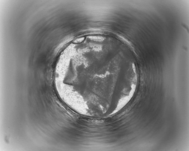 X0000100231411200806271739
