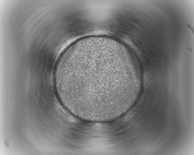 X0000100231412200806271739