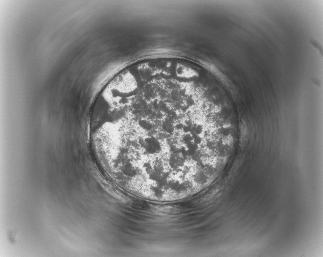 X0000100231413200806271739