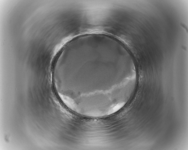 X0000100231414200806271739