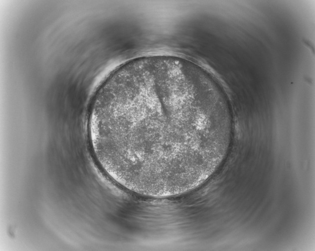 X0000100231416200806271739