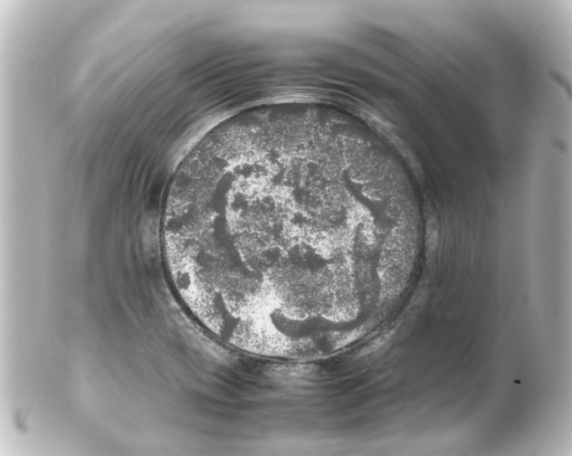 X0000100231417200806271739