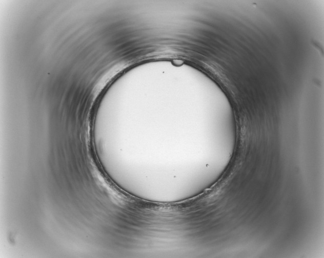 X0000100231418200806271739