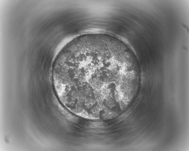 X0000100231421200806271740