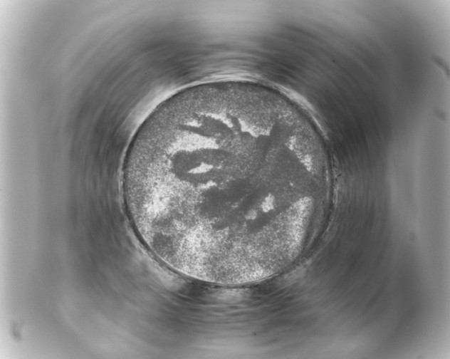 X0000100231423200806271740
