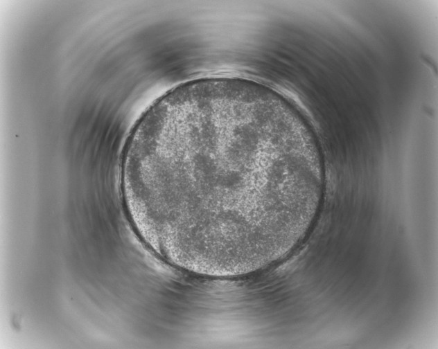 X0000100231424200806271740