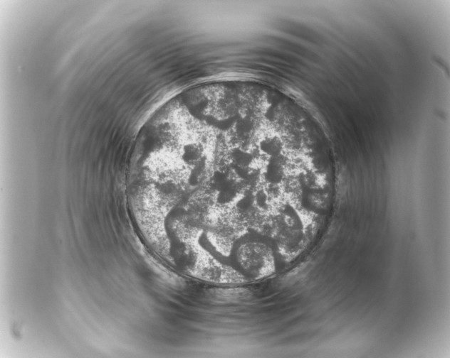 X0000100231425200806271740