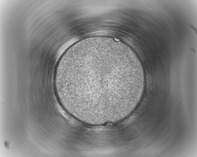 X0000100231426200806271740