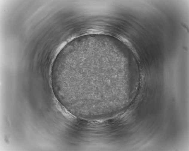 X0000100231427200806271740