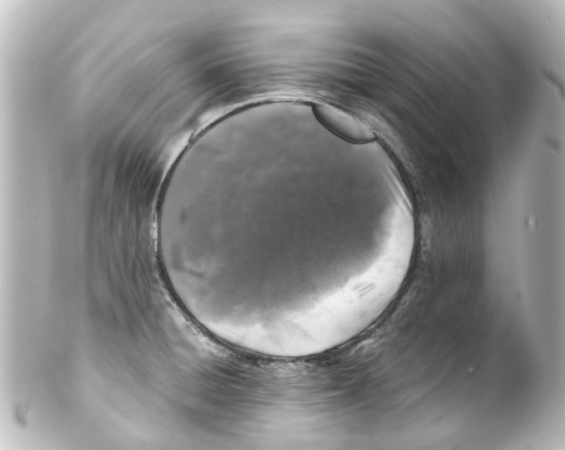 X0000100231428200806271740