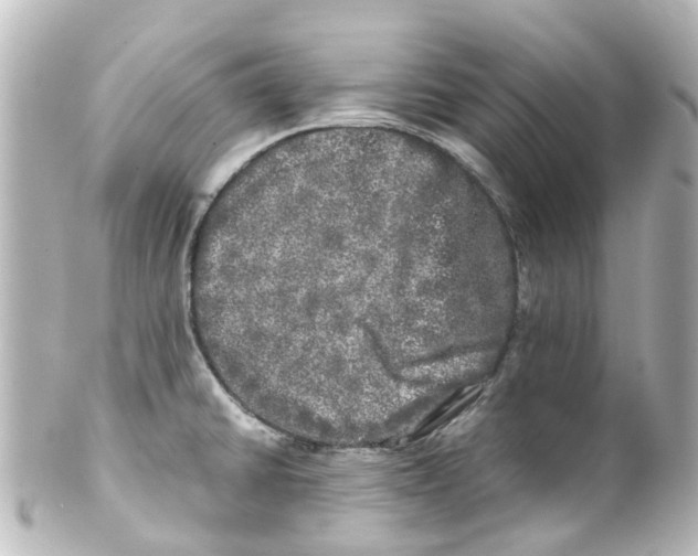 X0000100231430200806271740