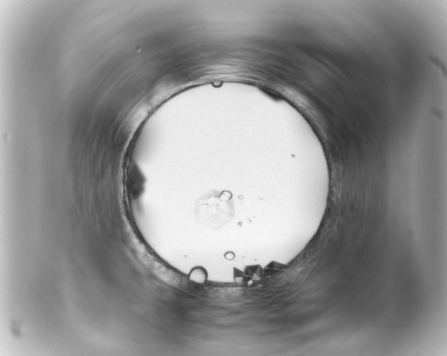 X0000100231431200806271740