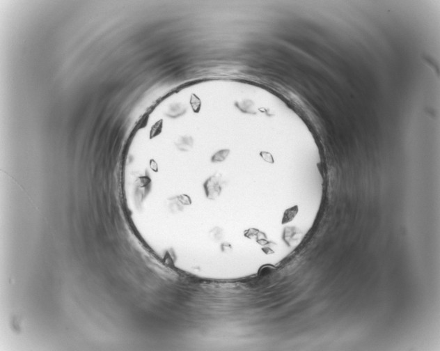X0000100231432200806271740