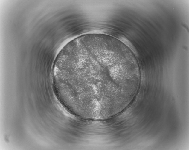 X0000100231436200806271740