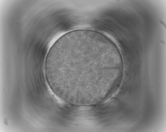 X0000100231440200806271740