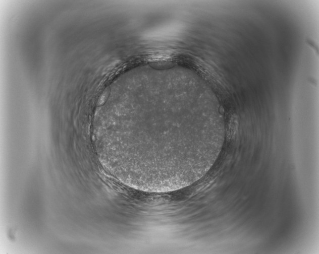 X0000100231441200806271739